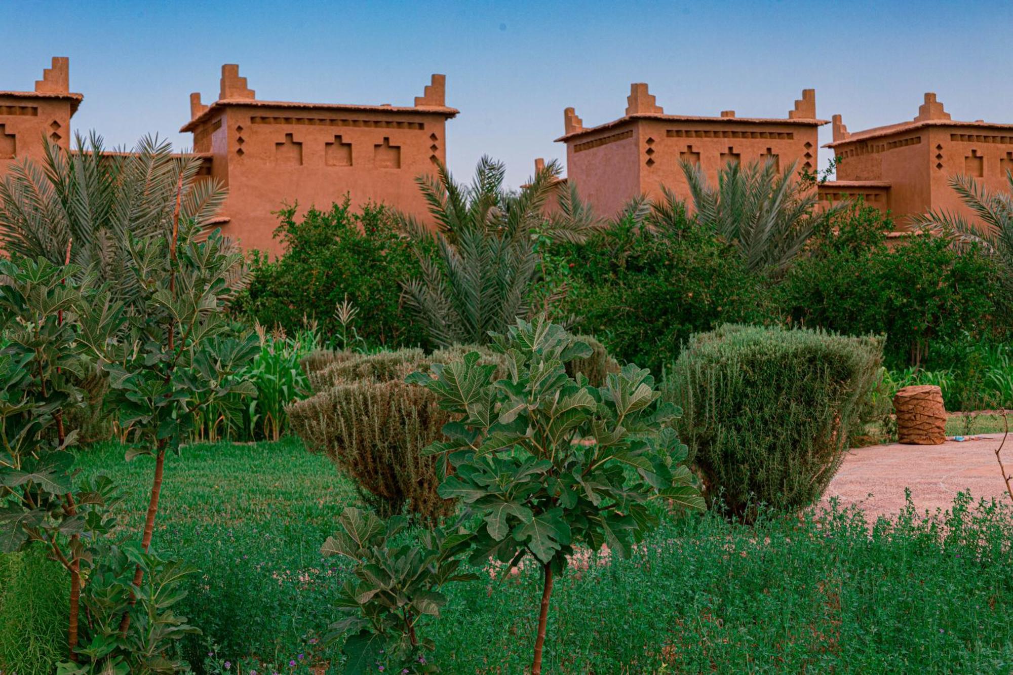 Maison D'Hote Amridil Skoura Exterior foto